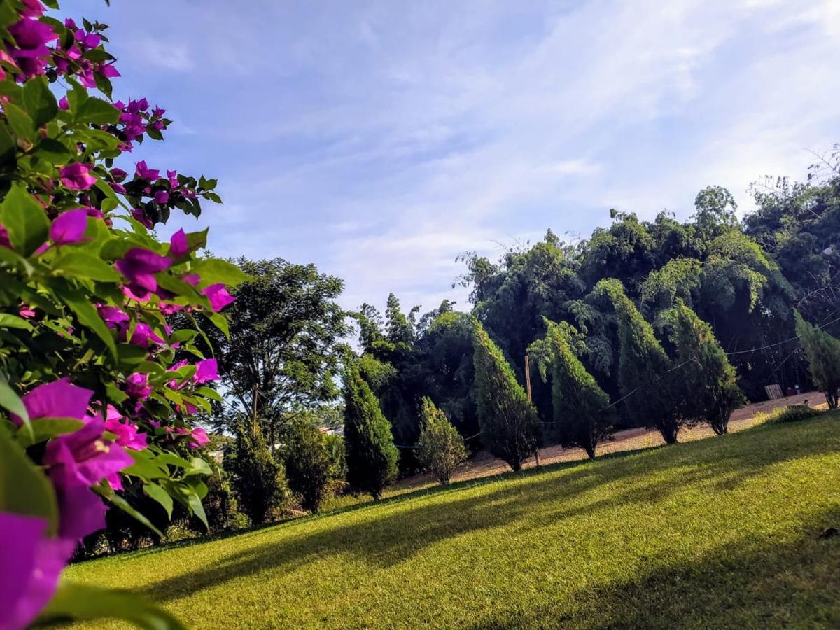 Velinn Hotel Natureza Foz Foz do Iguaçu Dış mekan fotoğraf