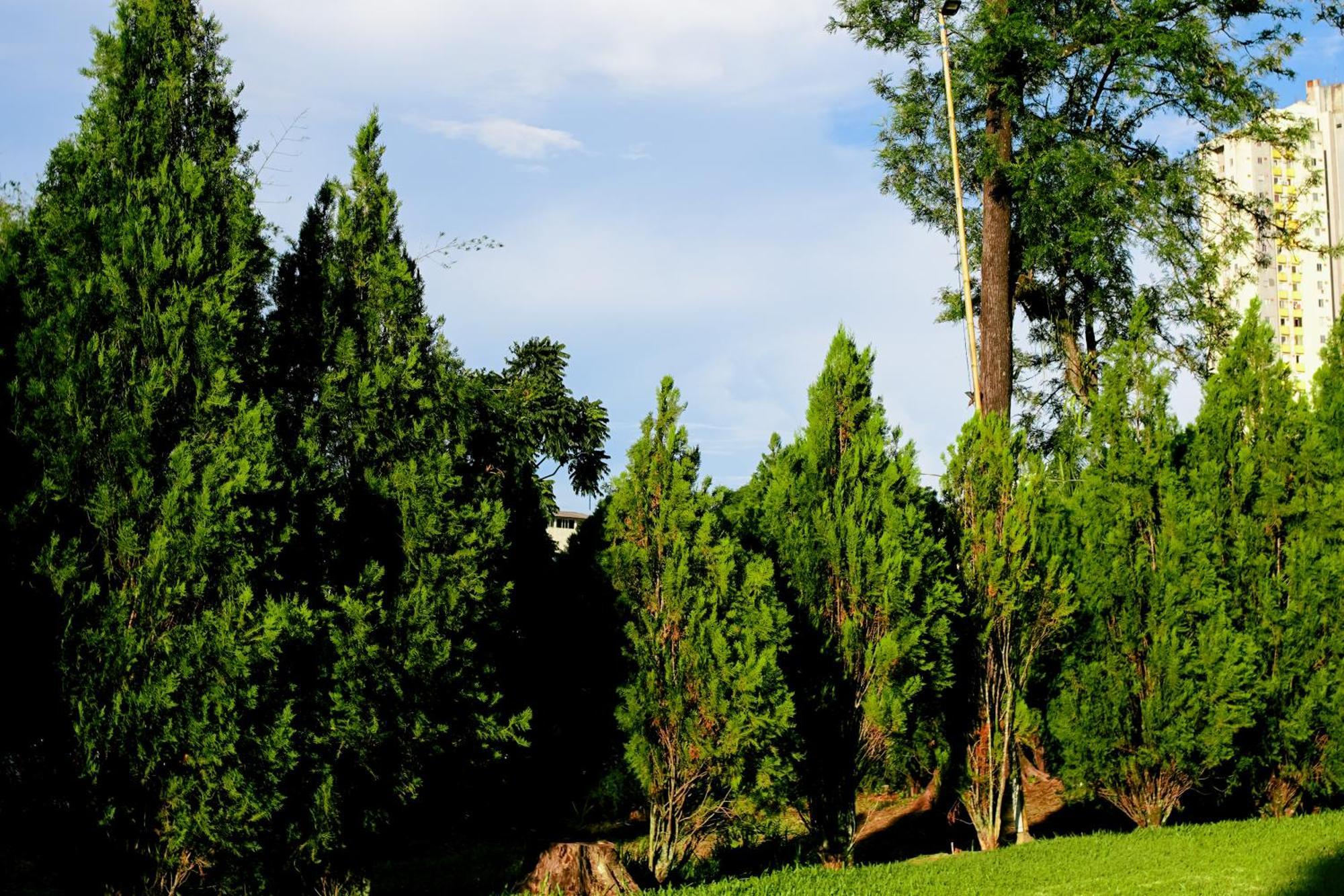 Velinn Hotel Natureza Foz Foz do Iguaçu Dış mekan fotoğraf